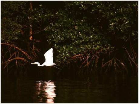 Photo of Scenic Cruises That You'll Only See in South America 5/6 by Nataliya Stefanus