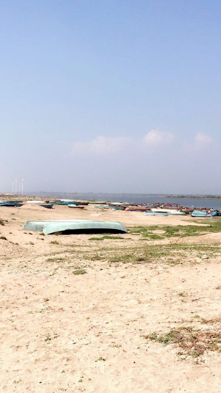 Photo of Navibandar ~ Coastal Village near Porbandar by Yesha R