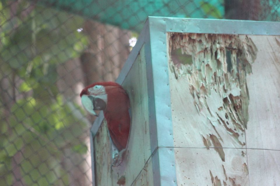 Photo of Trivendurum Zoo Visit by Neha jain