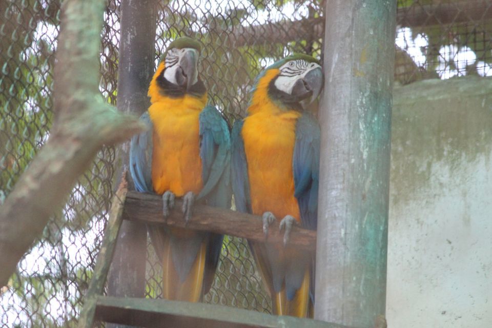 Photo of Trivendurum Zoo Visit by Neha jain