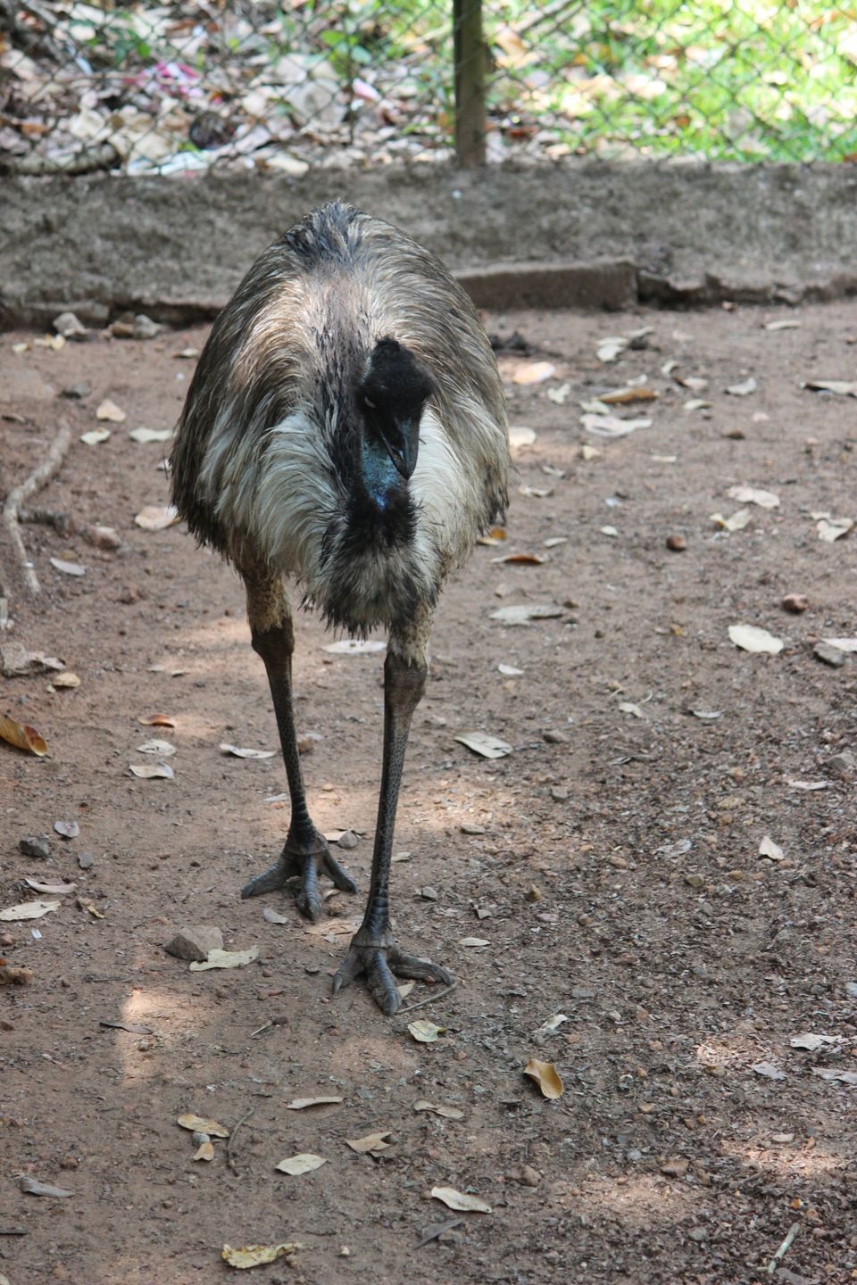 Photo of Trivendurum Zoo Visit by Neha jain