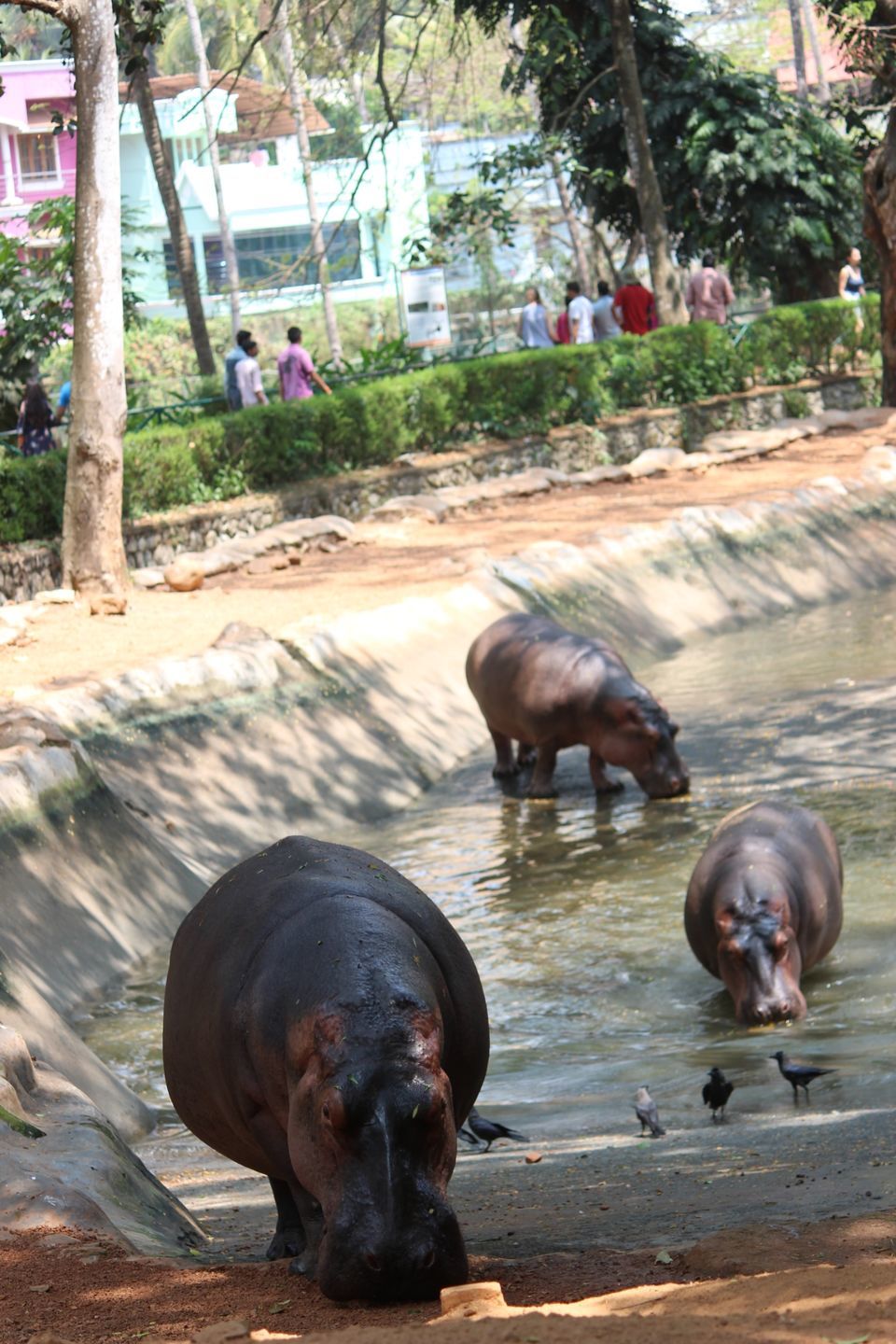 Photo of Trivendurum Zoo Visit by Neha jain
