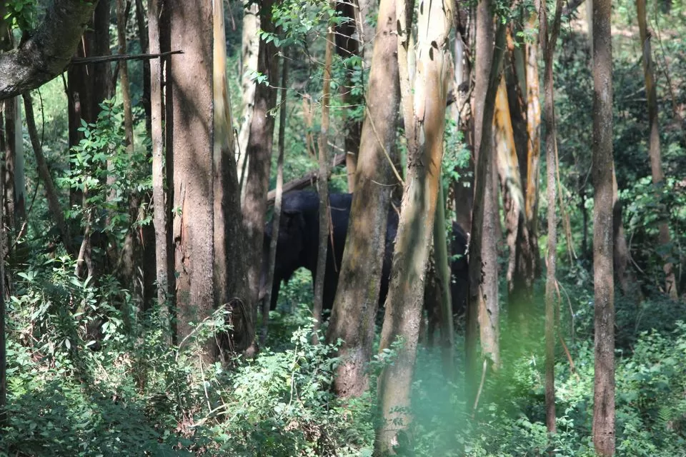 Photo of Echo Point, kulukkumalai, Munnar, Kerala, India by Neha jain