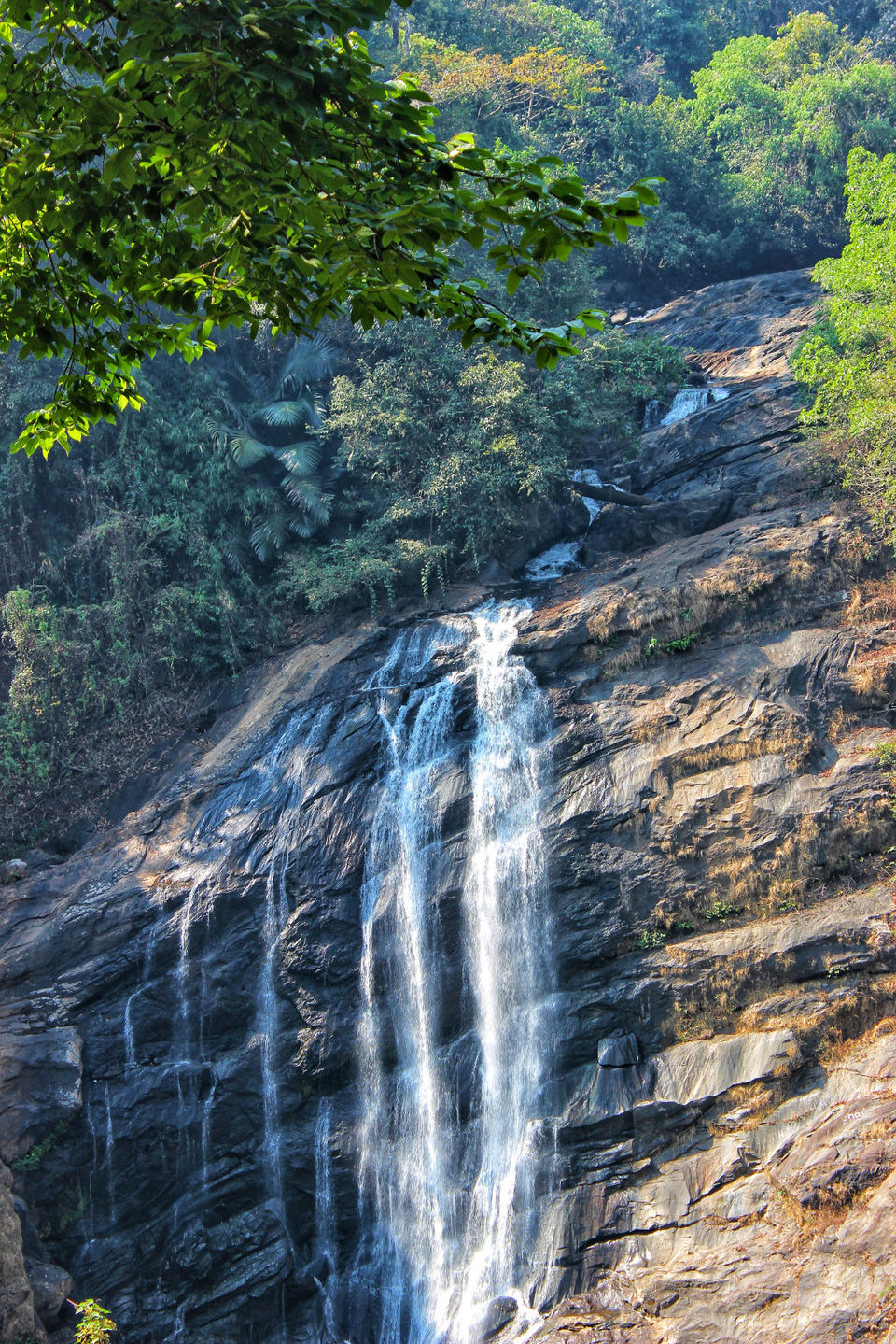 Photo of Cheeyappara Waterfalls, Kochi-Madurai-Tondi Point Road, Chillithodu, Kerala, India by Neha jain