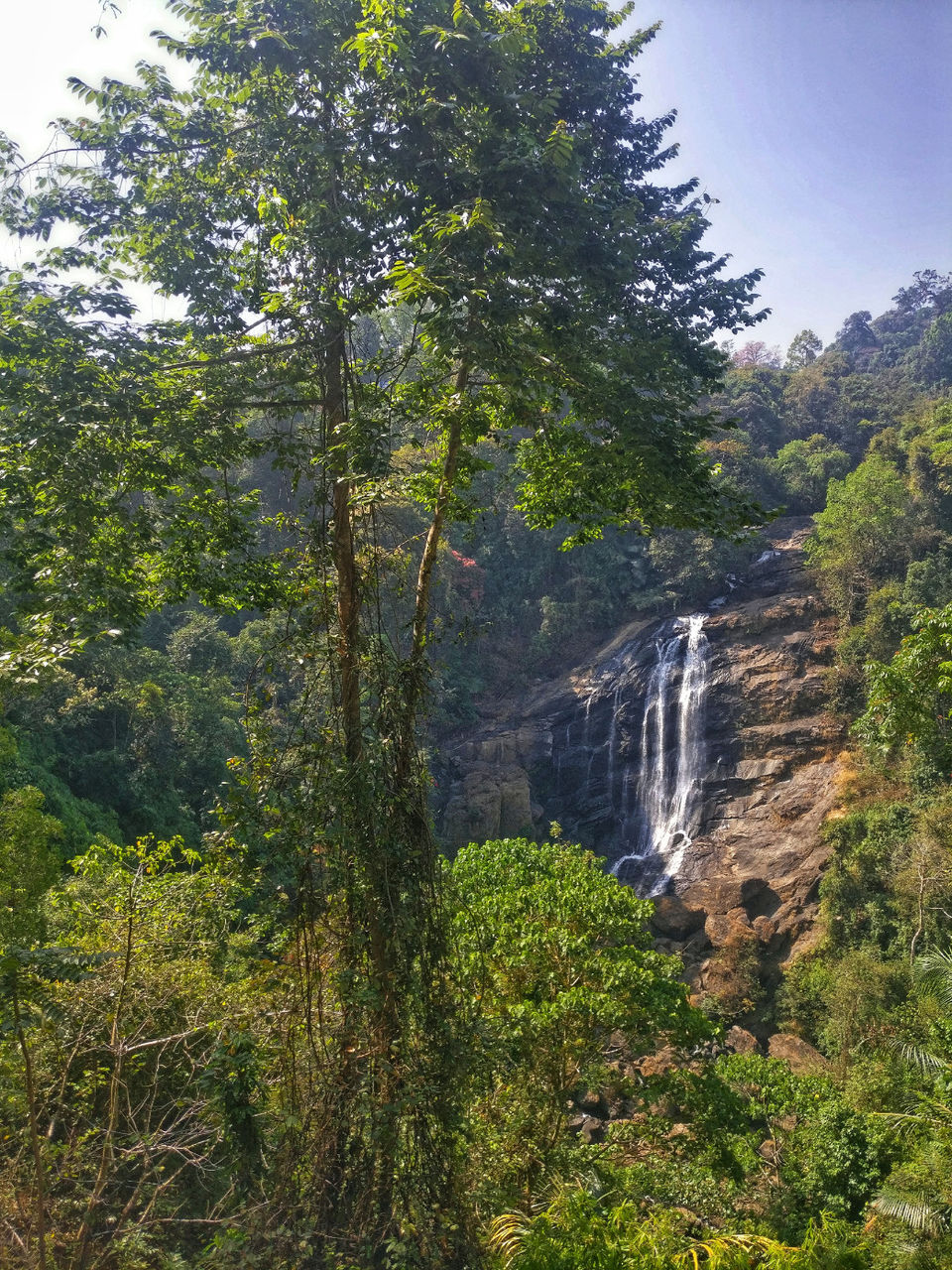 Photo of Cheeyappara Waterfalls, Kochi-Madurai-Tondi Point Road, Chillithodu, Kerala, India by Neha jain