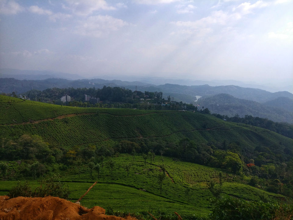 Photo of Misty Mountain Resort, Munnar, Munnar, Kerala, India by Neha jain