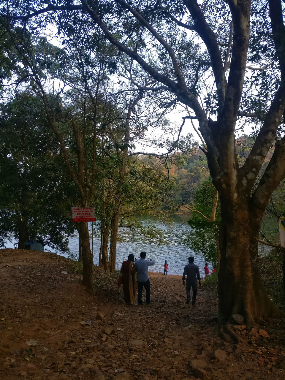 Photo of What about having tea in Kashmir of South India - Munnar #bestof2018 by Neha jain