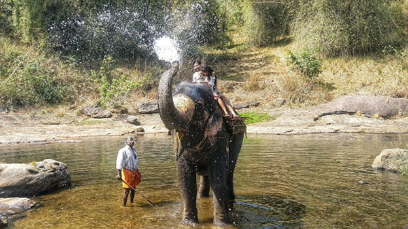 Photo of Elephant Safari - Munnar - South India Series #southindiaitinerary #adventureactivity 1/3 by Neha jain