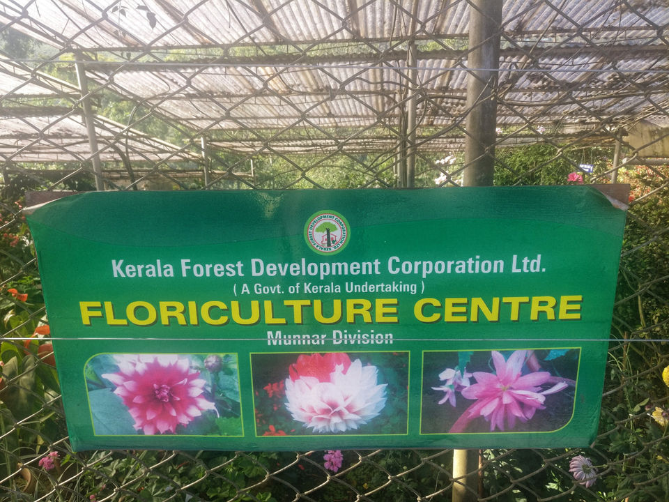 Photo of Rose Gardens, Karadippara, Kerala, India by Neha jain