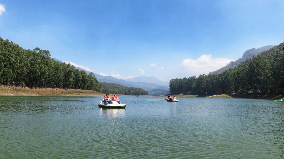 Photo of What about having tea in Kashmir of South India - Munnar #bestof2018 by Neha jain