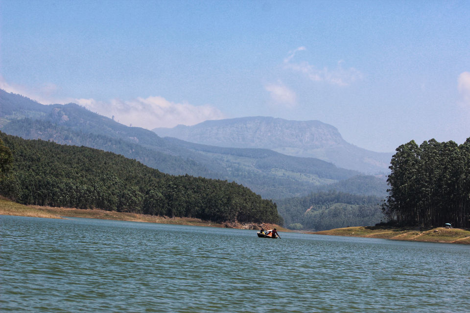 Photo of What about having tea in Kashmir of South India - Munnar #bestof2018 by Neha jain