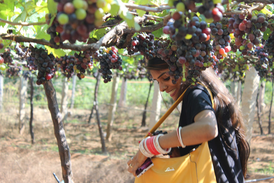 Photo of Coffee Routes, Thekkady, Kumily, Kerala, India by Neha jain
