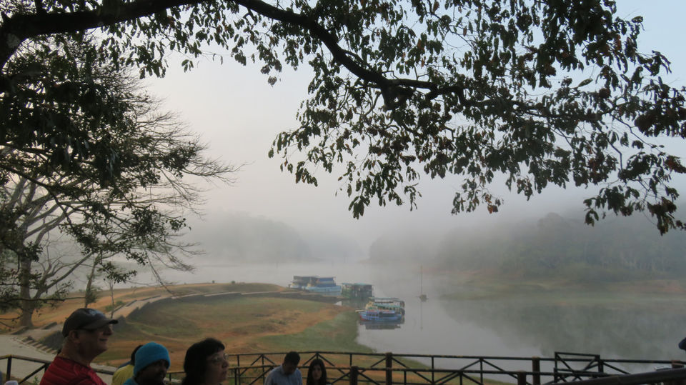 Photo of Thekkady - Periyar - GrapeFields #southindiaitinerary #adventureactivity by Neha jain