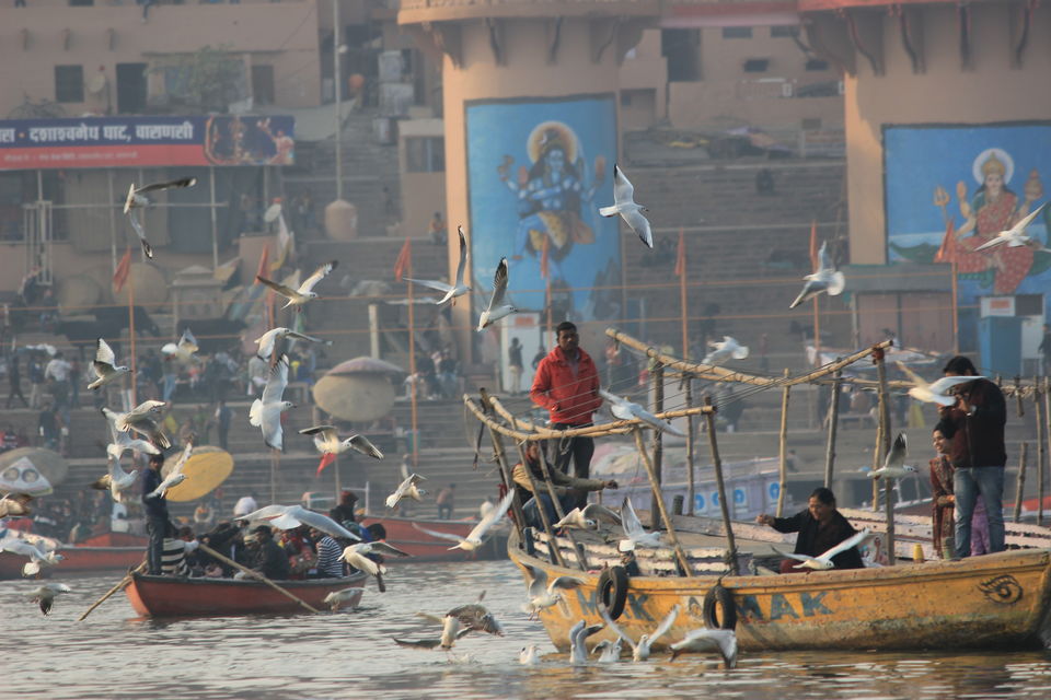 Photo of Yep,I lied to visit this Holiest place for peace #unforgettablesolo #indiain5k #hippyplacesindia by Neha jain