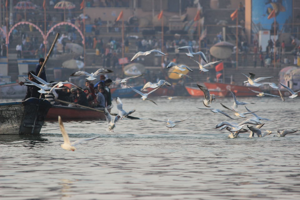 Photo of Yep,I lied to visit this Holiest place for peace #unforgettablesolo #indiain5k #hippyplacesindia by Neha jain