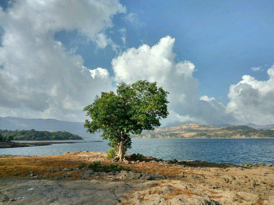 Photo of Island Rave Camping, India 5/6 by Pranav Joshi