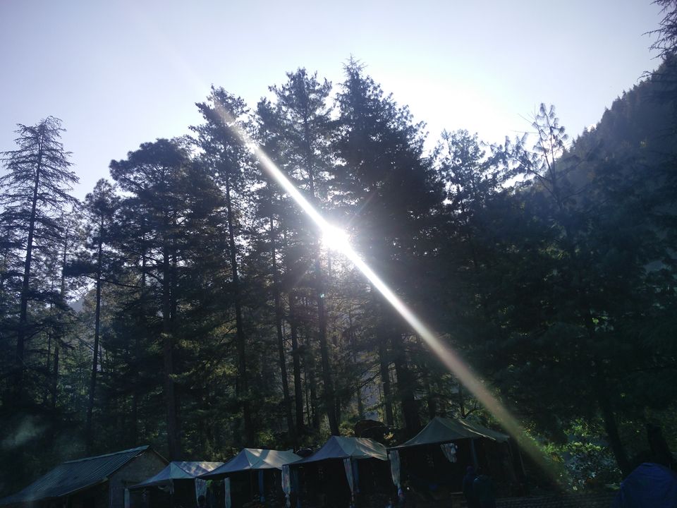 Photo of Trek to Kheerganga and Parvati Valley by Divya Chaudhary
