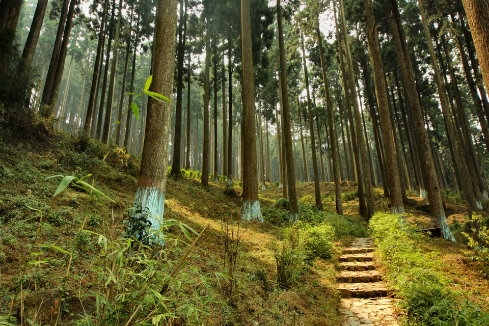 Photo of Lamhatta – Heaven in the Pines 1/3 by lens_nirvana