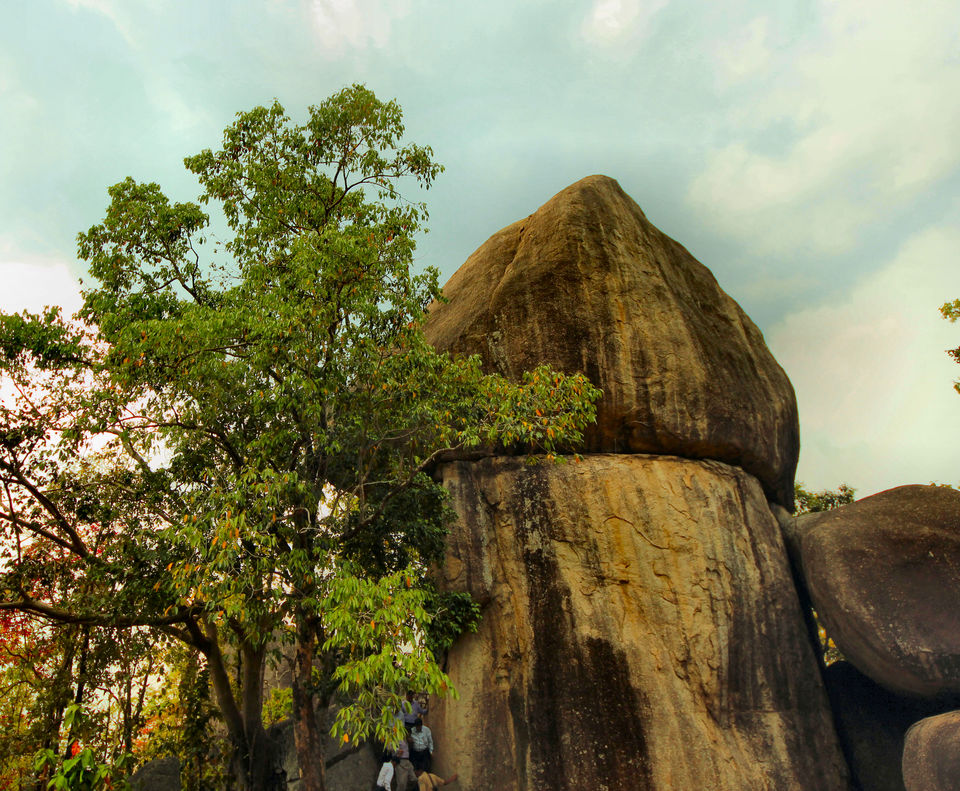Photo of Sitabinji, Odisha, India by lens_nirvana