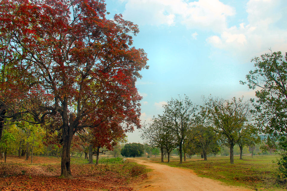 Photo of Cave Paintings, Age-old Monuments And A Secret Waterfall, Sitabinji Is A History Lover's Paradise by lens_nirvana