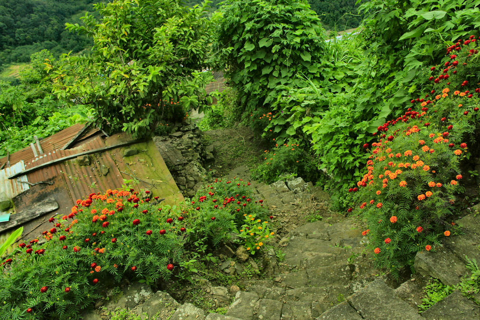 Photo of Khonoma – Asia’s First Green Village by lens_nirvana