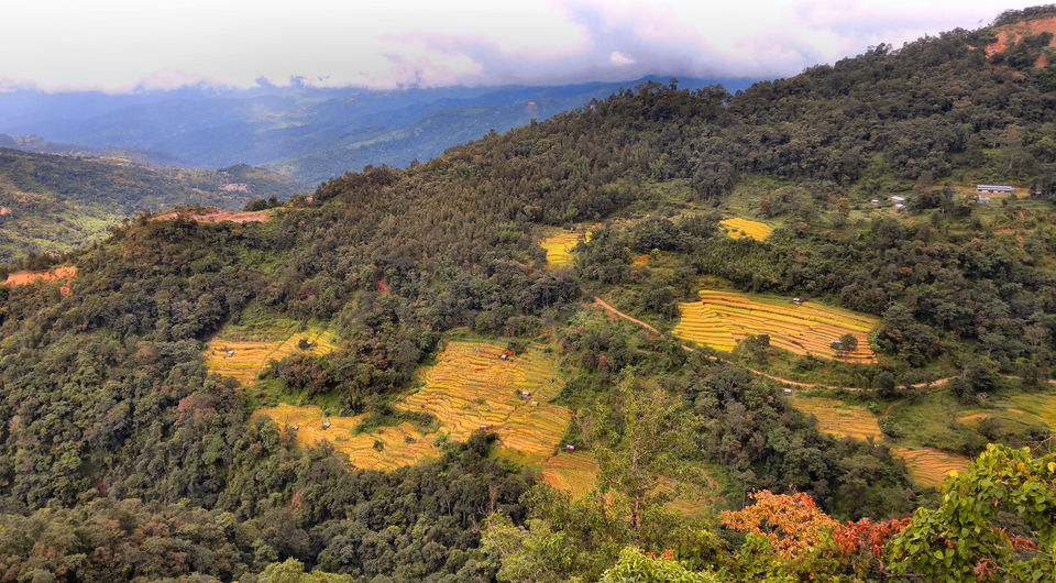 Photo of Khonoma – Asia’s First Green Village by lens_nirvana