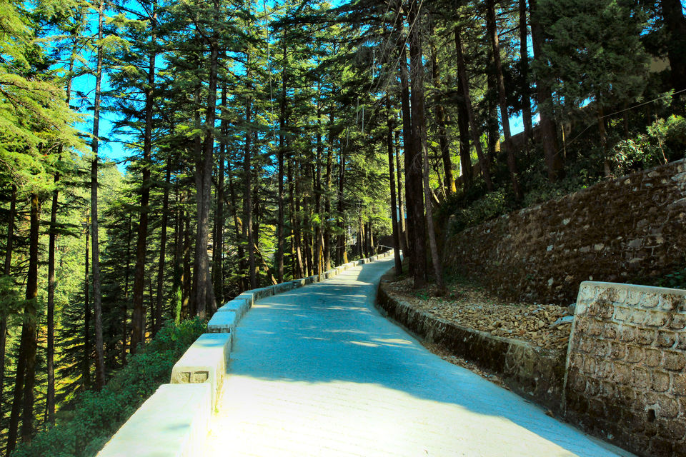 Photo of Under Rs 3000, This Inn Near Mussoorie Is A Favourite With Vishal Bhardwaj And Ruskin Bond by Sugato
