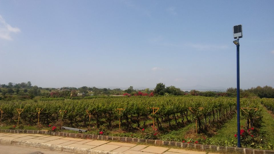 Photo of Nashik, Maharashtra, India by Ritusree exploring