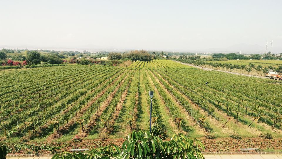 Photo of Nashik, Maharashtra, India by Ritusree exploring