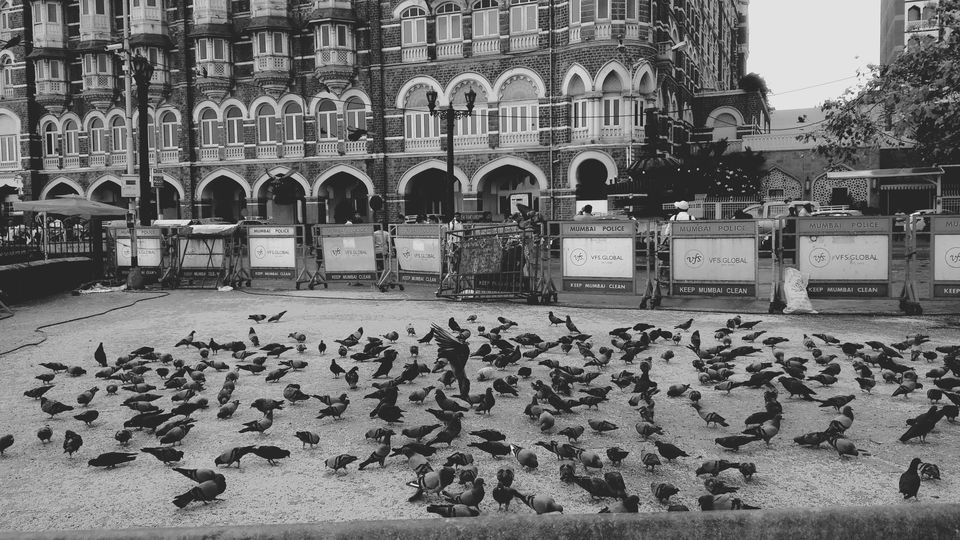 Photo of Mumbai Escapade by Ritusree exploring