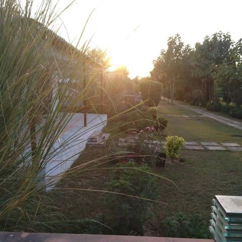 Photo of Sultan Bagh, Charoda Road, Ranwal, Rajasthan, India by Ritusree exploring