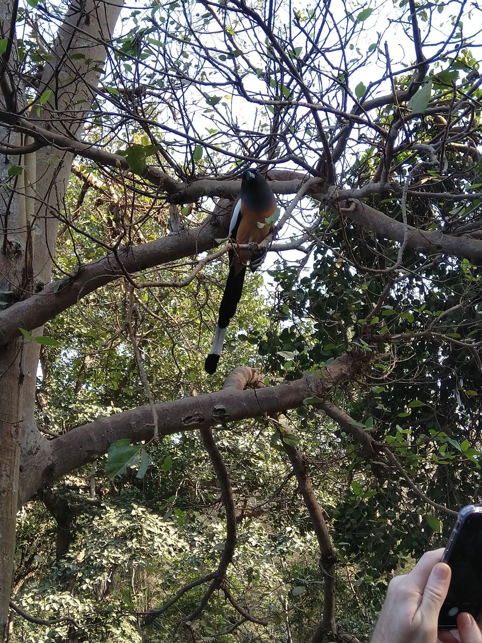 Photo of My Ranthambore Experience by Ritusree exploring
