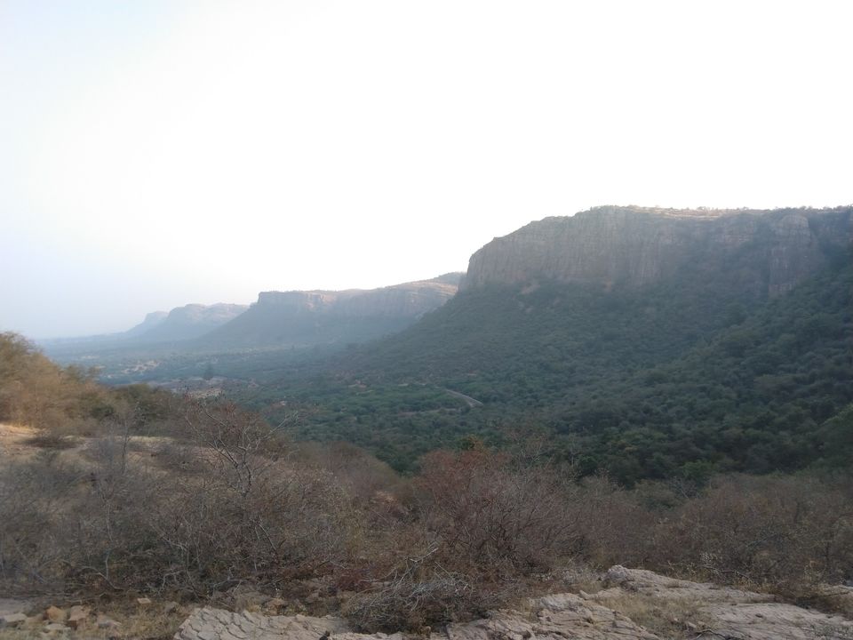 Photo of My Ranthambore Experience by Ritusree exploring