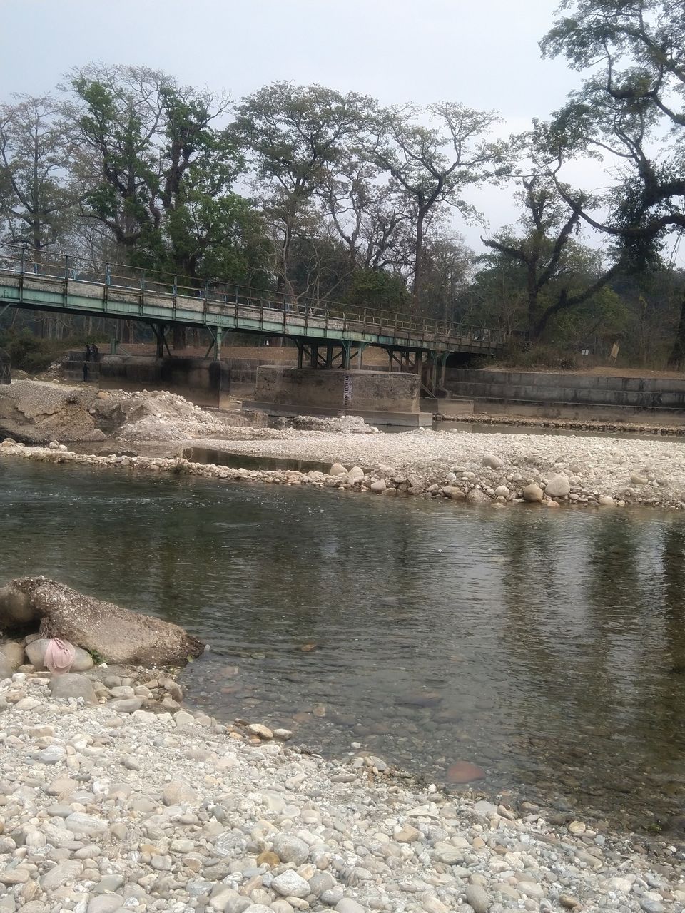 Photo of Serene North Bengal 3/5 by Ritusree exploring
