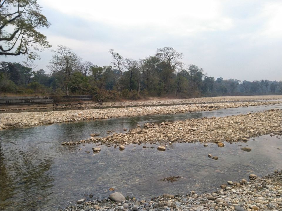 Photo of Serene North Bengal 4/5 by Ritusree exploring