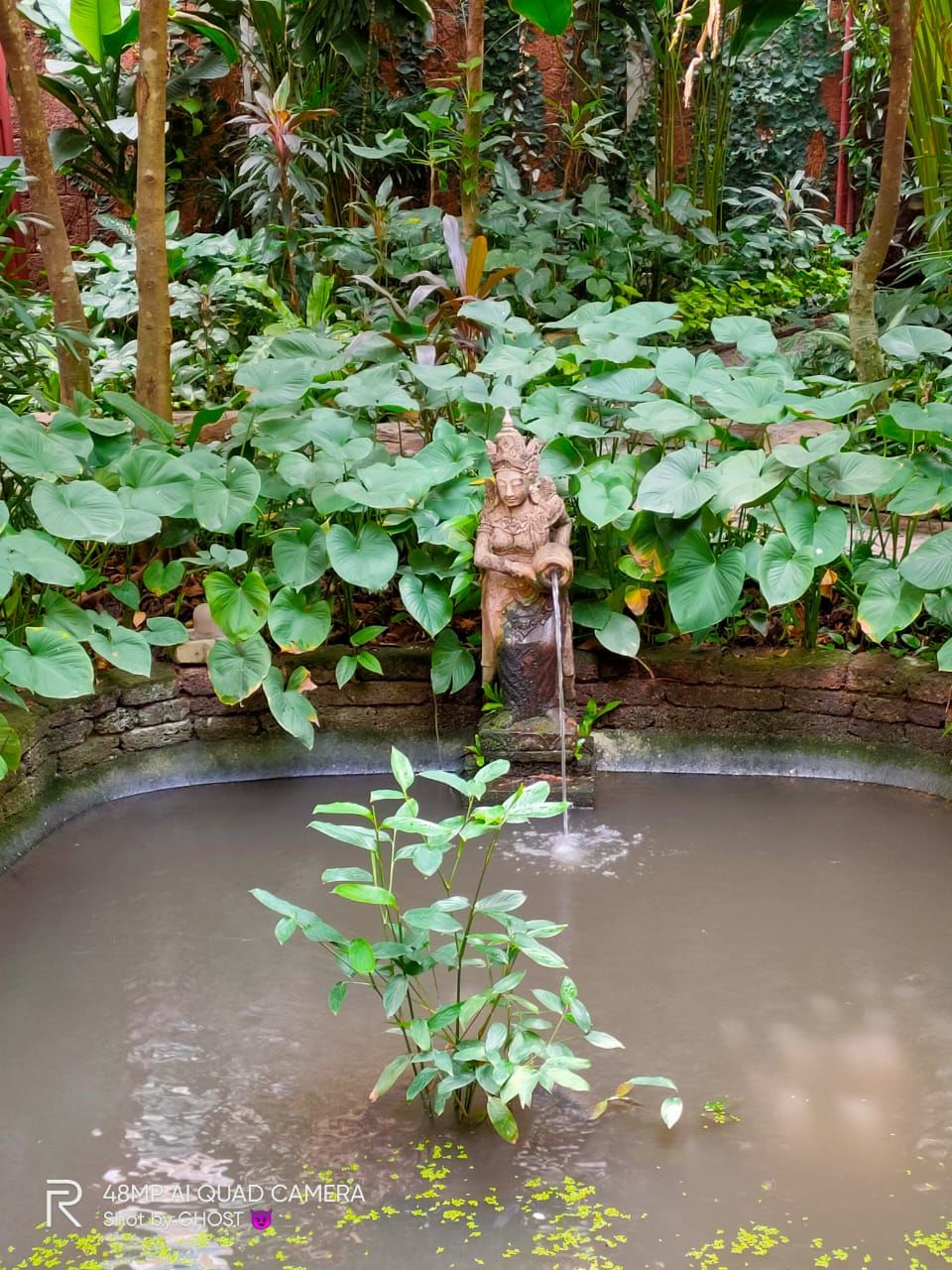 Photo of Travel to Land of Buddha- Thailand 12/19 by Ritusree exploring