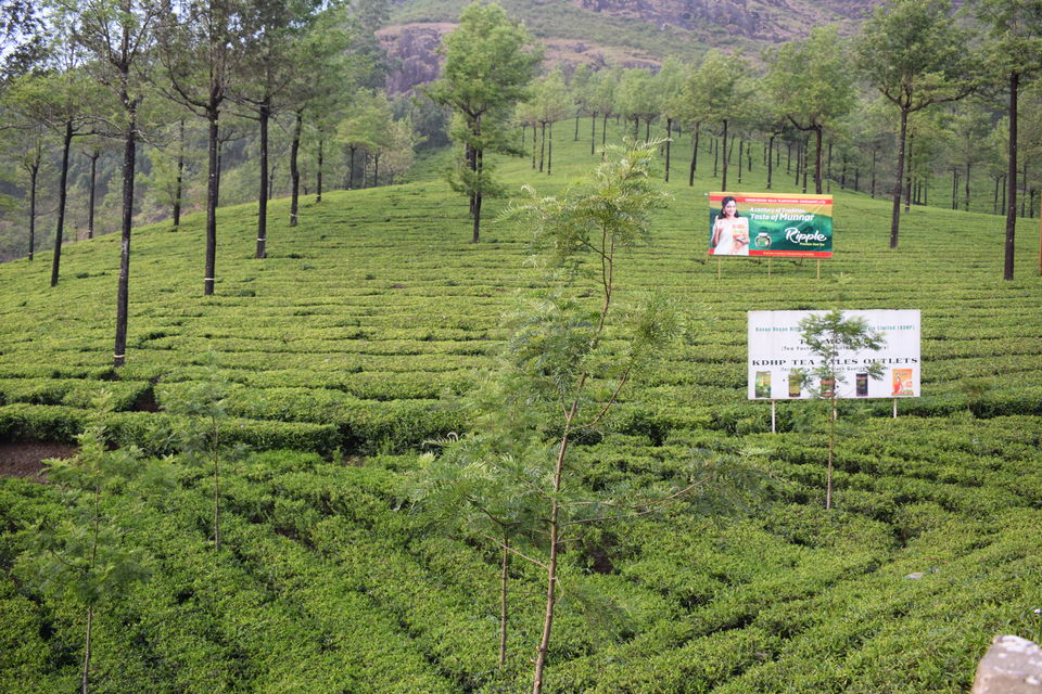 Photo of Mesmerizing Kerala : Perfect honeymoon destination for every couple by Abhinav Dawar