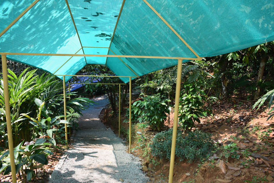 Photo of Thekkady, Kerala, India by Abhinav Dawar