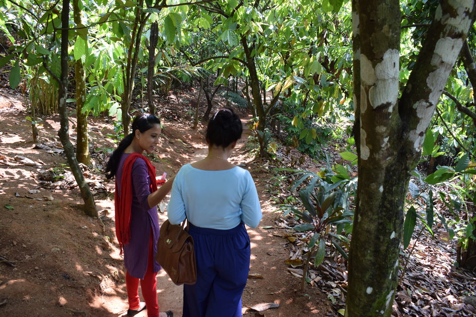 Photo of Mesmerizing Kerala : Perfect honeymoon destination for every couple by Abhinav Dawar