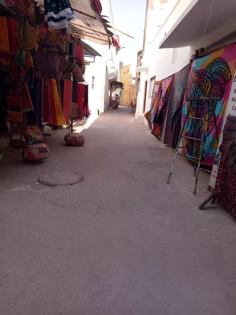 Photo of Celebrate Holi in Pushkar - Bucket-list Check by HippieInHeels