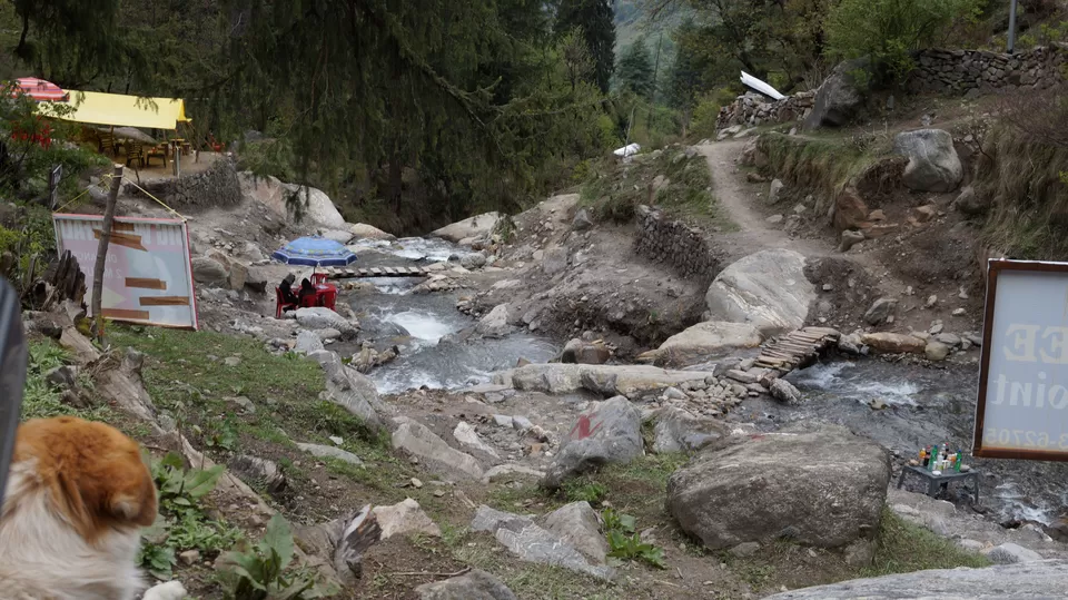 Photo of Tosh, Himachal Pradesh, India by HippieInHeels