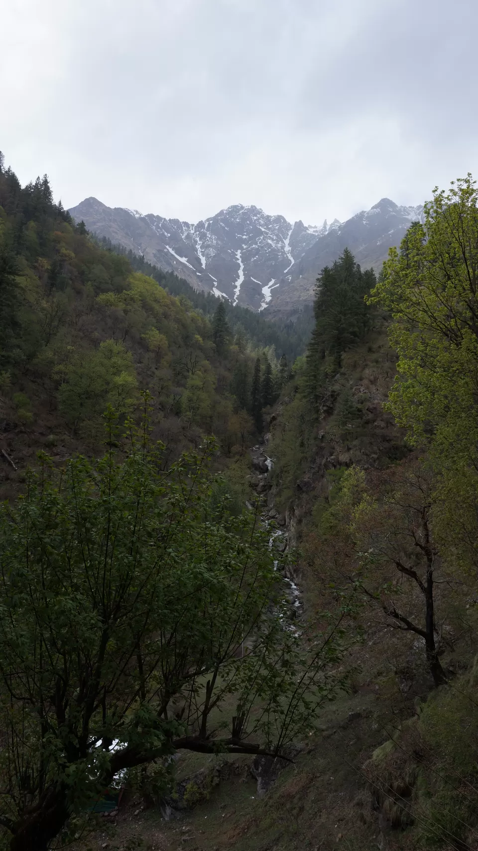 Photo of Kutla, Kullu, Himachal Pradesh, India by HippieInHeels