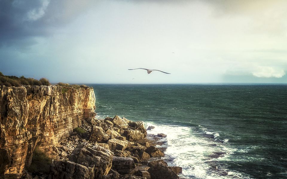 Photo of Top 5 Must-Visit Cities in Portugal 15/17 by Iris Milton