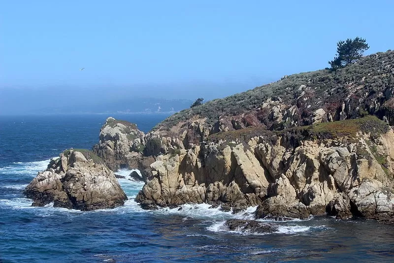 Photo of 680 Point Lobos Ave, San Francisco, CA, USA by Iris Milton