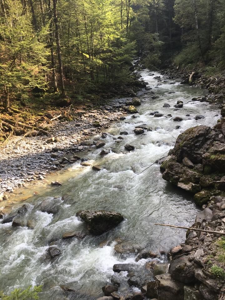 Photo of Oberstdorf, Germany by Lipika Majumdar