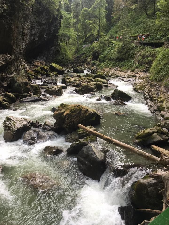 Photo of Oberstdorf, Germany by Lipika Majumdar