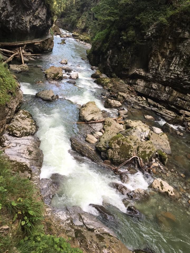 Photo of Oberstdorf, Germany by Lipika Majumdar