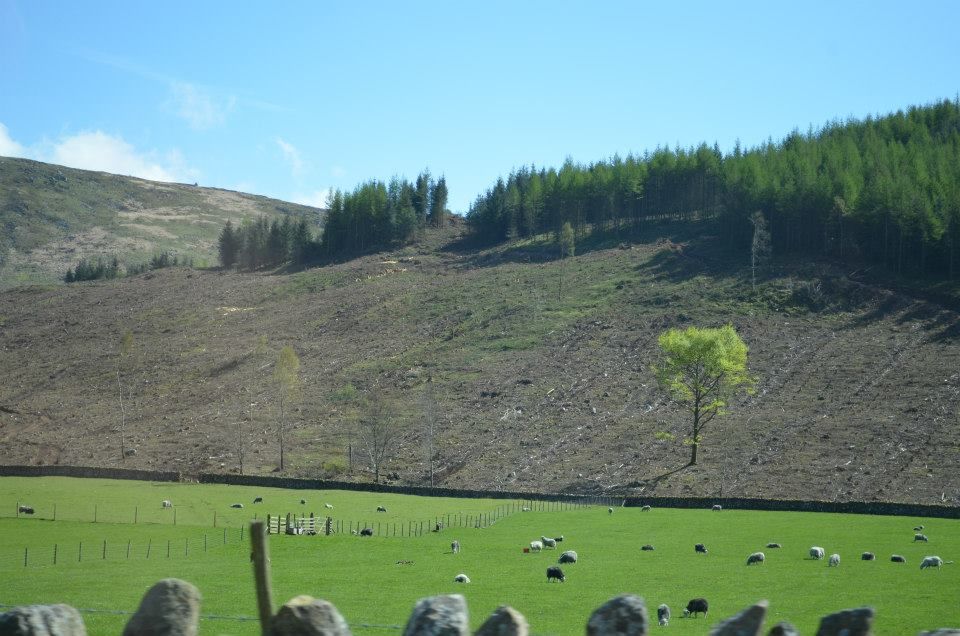 Photo of Lake District 5/14 by Lipika Majumdar