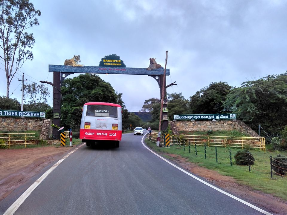 Photo of Revving your engine on your Birthday : Bike trip to the Nilgiri Hills. 3/17 by Aman Kumar