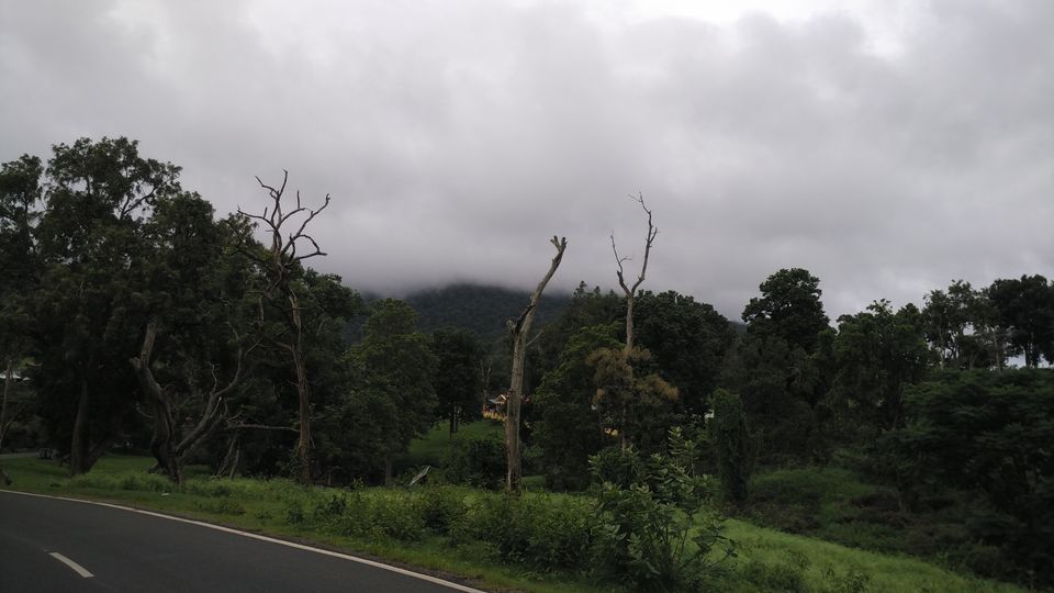 Photo of Revving your engine on your Birthday : Bike trip to the Nilgiri Hills. 6/17 by Aman Kumar